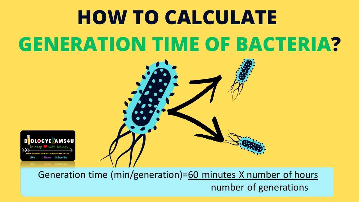 how-to-calculate-generation-time-of-bacteria-microbiology