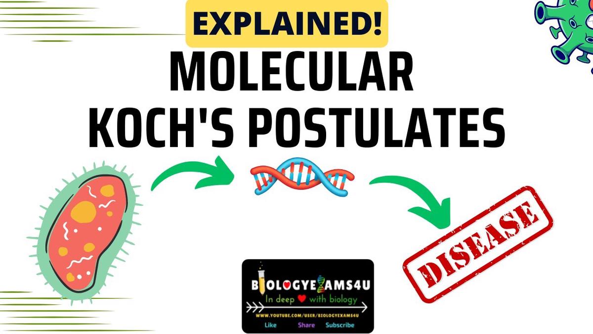 Molecular Kochs Postulates Explained With An Example 